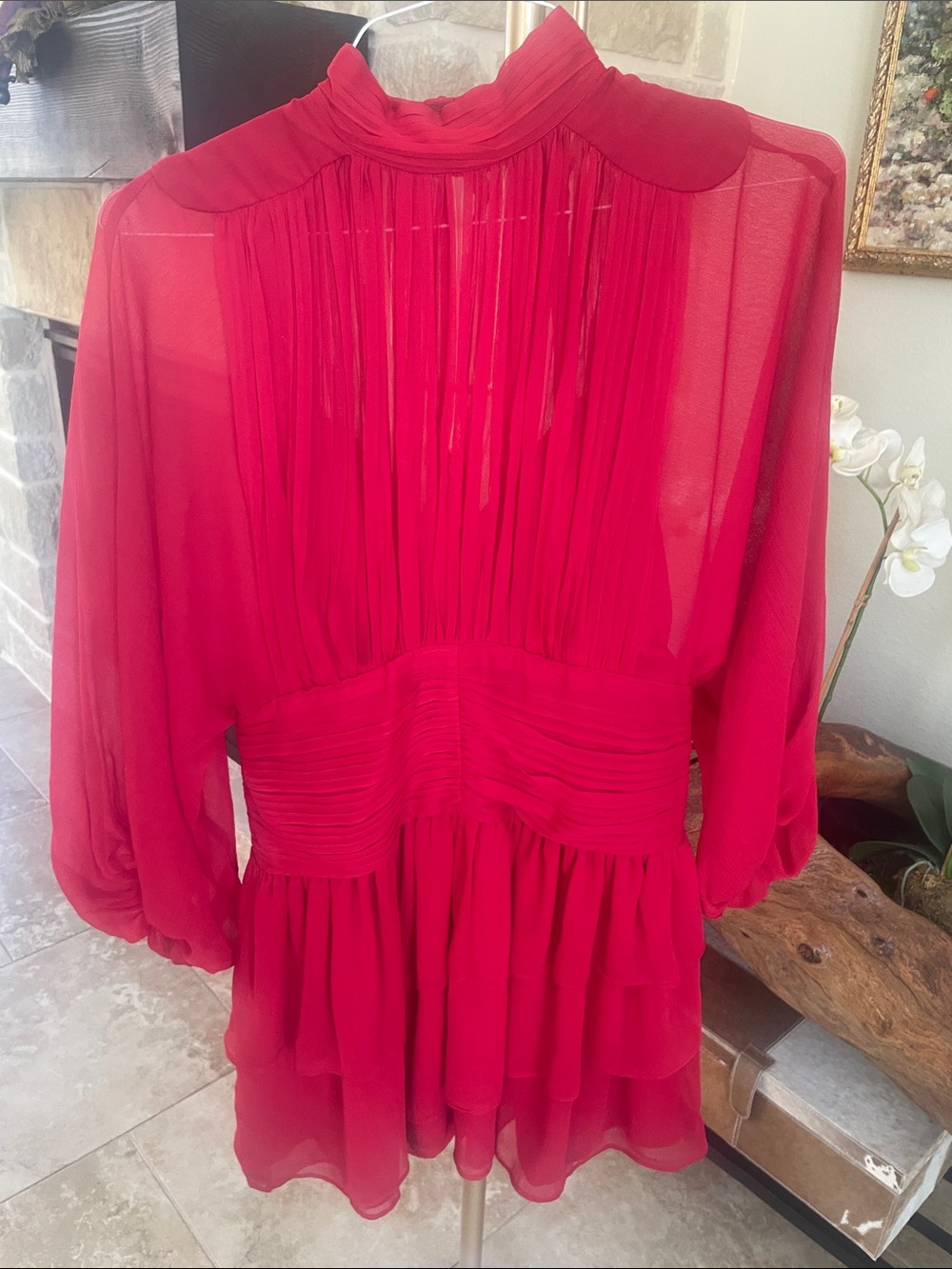 Express Red Sheer Pleated Mini Dress